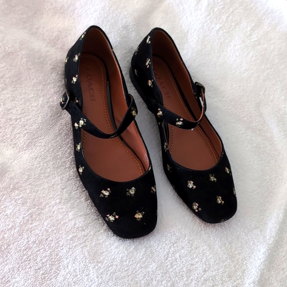Coach suede ballerina flats, in excellent conditions. Very lightly used. - Picture 1 of 4
